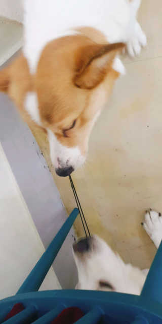 주혀니님이 올린 리뷰 사진 3
