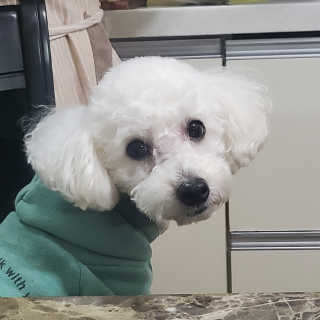 ᴰᴼᴼᴼᴺᵞ님이 올린 리뷰 사진 2