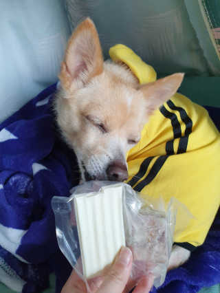 빈이맘♡님이 올린 리뷰 사진 3