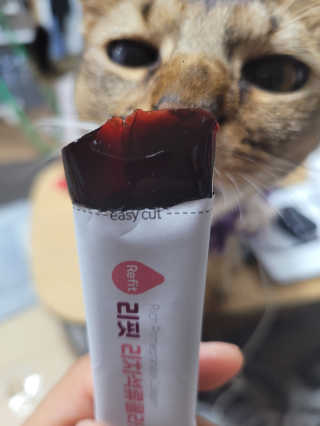 kira님이 올린 리뷰 사진 4