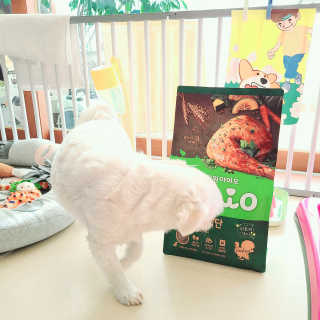 그레이스라님이 올린 리뷰 사진 2