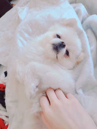 유화님이 올린 리뷰 사진 4