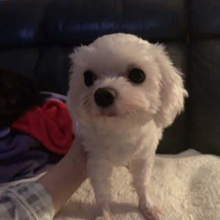 슬냥이님이 올린 리뷰 사진 3
