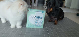 My Pet Care 천연단백질 눈건강에 개좋아 — 5점을 준 리뷰어가 2020년 11월 올린 사용 사진