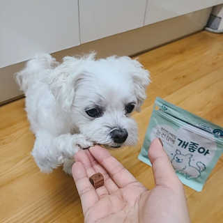 My Pet Care 천연단백질 눈건강에 개좋아 — 5점을 준 리뷰어가 2020년 11월 올린 사용 사진