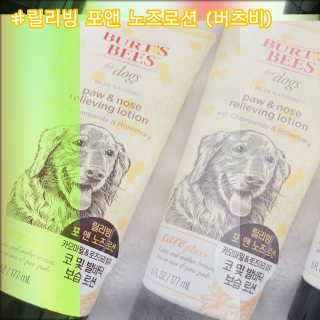 제제님이 올린 리뷰 사진 1