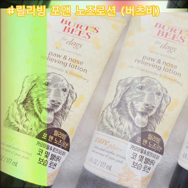 버츠비 케어플러스 릴리빙포앤노즈로션 리뷰 사진