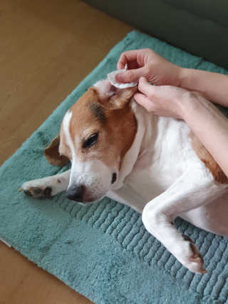 지우님이 올린 리뷰 사진 3