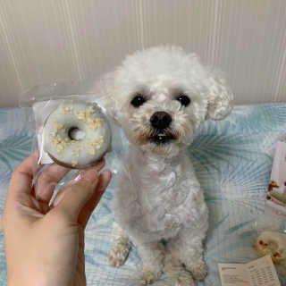 설량님이 올린 리뷰 사진 3