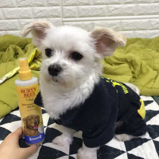 불량주부벗어나기님이 올린 리뷰 사진 1