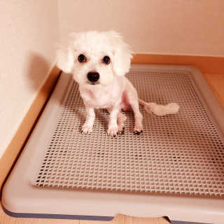 또롱님이 올린 리뷰 사진 3