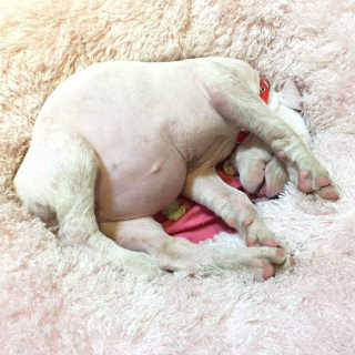 itsmeinyeong님이 올린 리뷰 사진 1