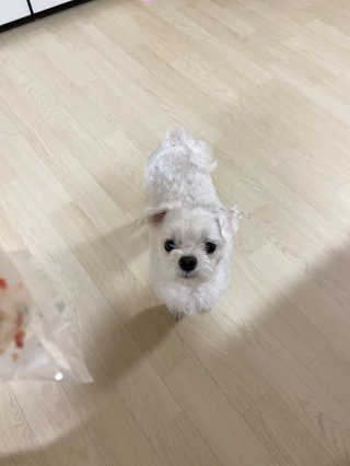 나유니님이 올린 리뷰 사진 3