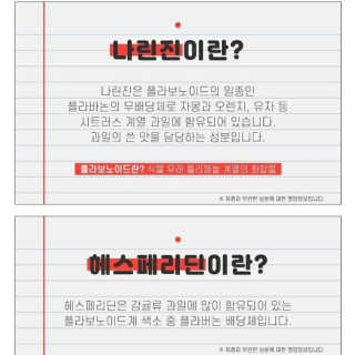조은약초 자몽 오렌지 복합물 추출물 과라나 나린진 큐어 — 4점을 준 리뷰어가 2020년 4월 올린 사용 사진