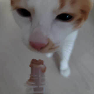 쓔리님이 올린 리뷰 사진 2