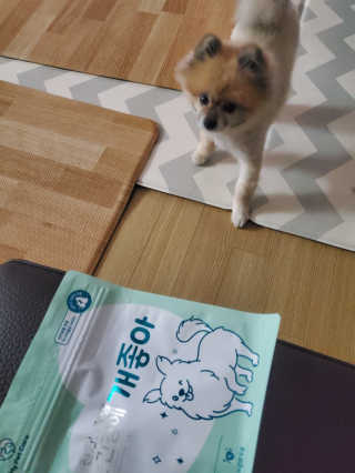 My Pet Care 천연단백질 눈건강에 개좋아 — 5점을 준 리뷰어가 2020년 11월 올린 사용 사진