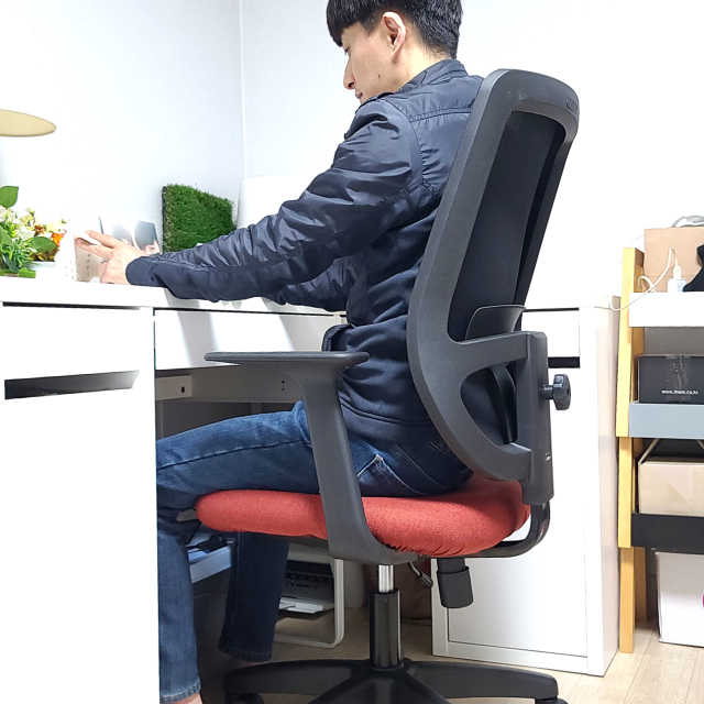 린백 LB16MB 프리무빙백 사무용의자 리뷰 사진