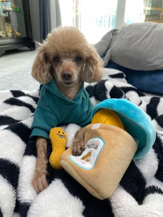 minji님이 올린 리뷰 사진 4