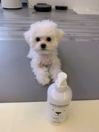 큐티윤님이 올린 리뷰 사진 2