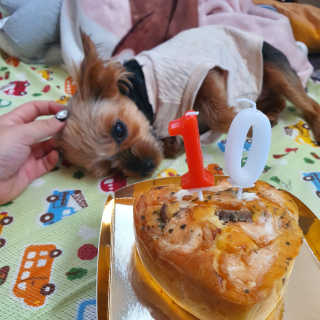 itsmeinyeong님이 올린 리뷰 사진 1