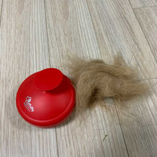 자극 없이 털/각질 관리가 가능한 코코몰리 실리콘 목욕 브러쉬 — 5점을 준 리뷰어가 2020년 7월 올린 사용 사진
