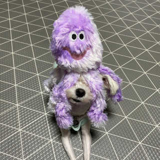 당근님이 올린 리뷰 사진 1