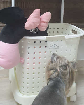 딸기맘님이 올린 리뷰 사진 3