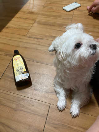 내리소님이 올린 리뷰 사진 1