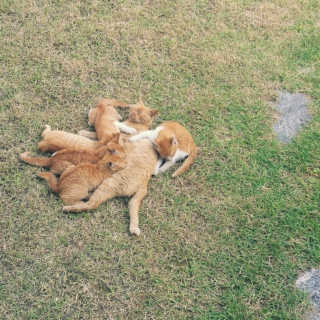 보니보니님이 올린 리뷰 사진 1
