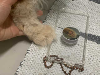시묘님이 올린 리뷰 사진 2