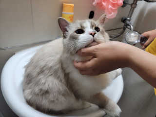 정이님이 올린 리뷰 사진 1