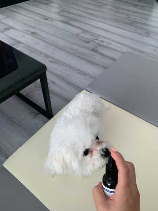 큐티윤님이 올린 리뷰 사진 3
