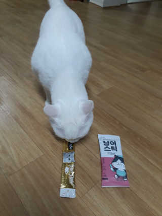 매리님이 올린 리뷰 사진 2