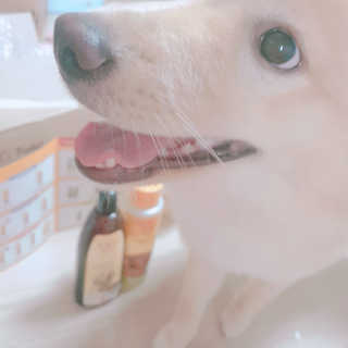 🎀딸 ♥️랑 🔆구🍭님이 올린 리뷰 사진 3