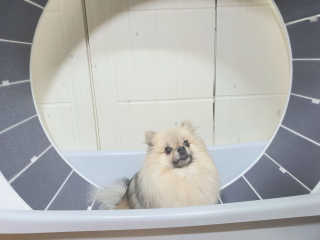쑤닝님이 올린 리뷰 사진 1