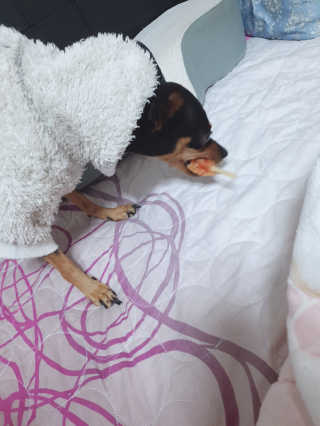 도도님이 올린 리뷰 사진 1