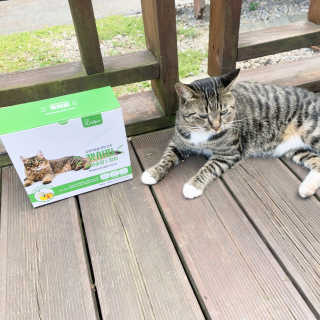 나기님이 올린 리뷰 사진 3