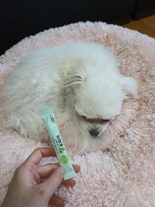 쮸동비님이 올린 리뷰 사진 1