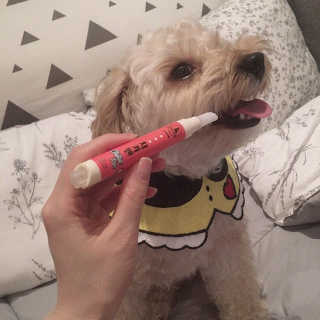 백설님이 올린 리뷰 사진 3