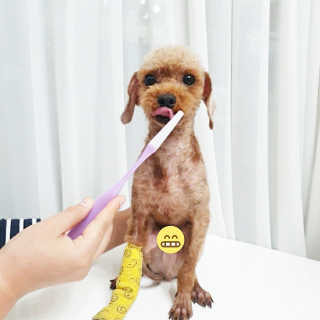 꽃양뿌니님이 올린 리뷰 사진 2
