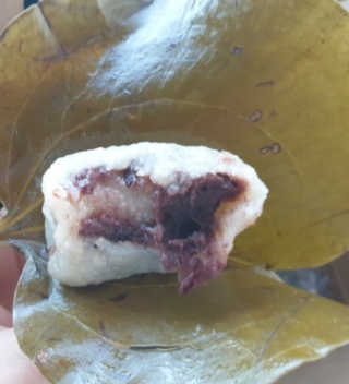 란이님이 올린 리뷰 사진 2