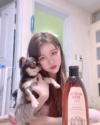 버츠비 케어플러스 릴리빙 컨디셔너_카모마일,로즈마리 — 4점을 준 리뷰어가 2020년 8월 올린 사용 사진