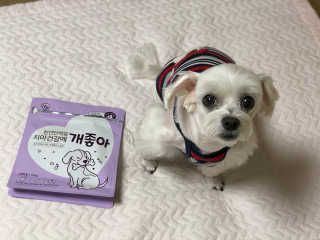 Sooing님이 올린 리뷰 사진 4