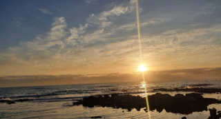 콩슬님이 올린 리뷰 사진 2