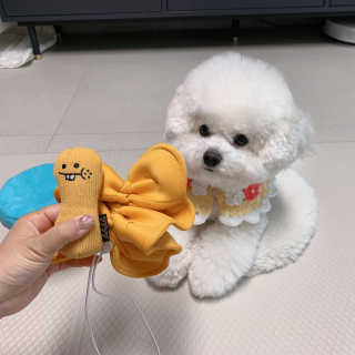 아시안님이 올린 리뷰 사진 2