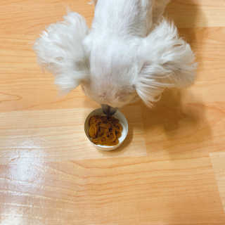 마요님이 올린 리뷰 사진 4