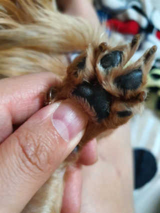 요니님이 올린 리뷰 사진 3