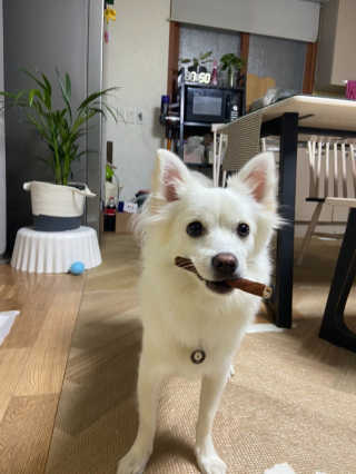 강이님이 올린 리뷰 사진 2