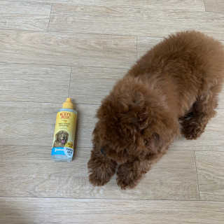 미지님이 올린 리뷰 사진 1