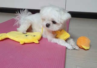 hosu.1230님이 올린 리뷰 사진 3